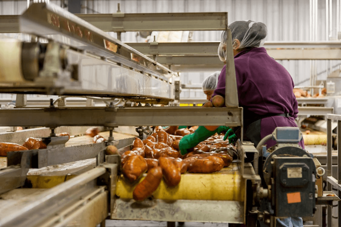 An established food production operation supported by business systems
