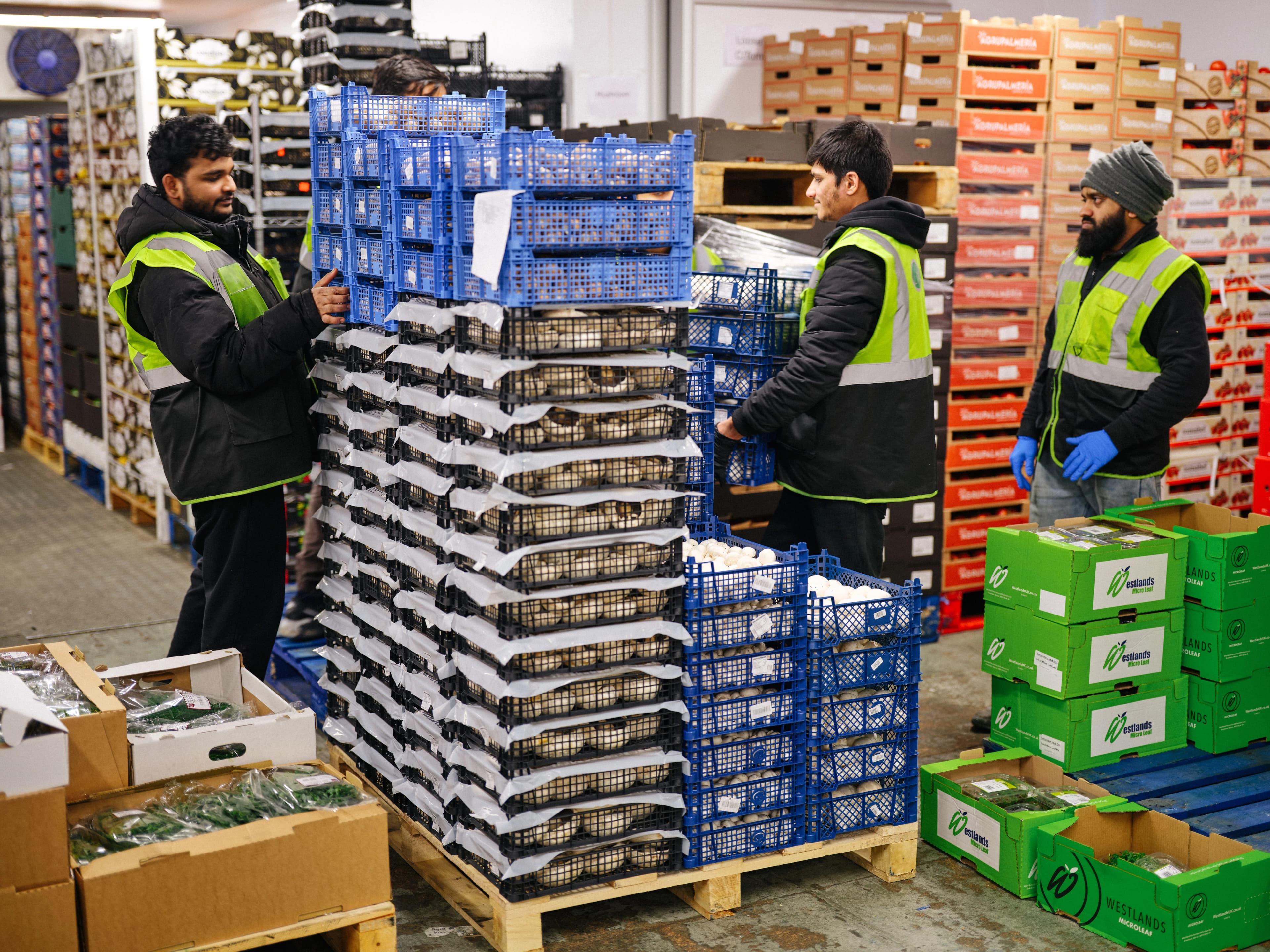Foodservice warehouse picking operation